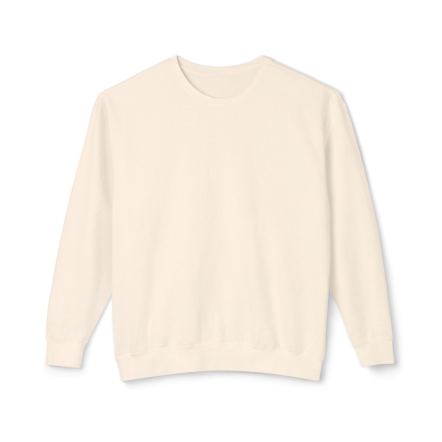 Crewneck Sweatshirt — Salt & Light Surf Co. Vintage Palm Beach Graphic, Back Print