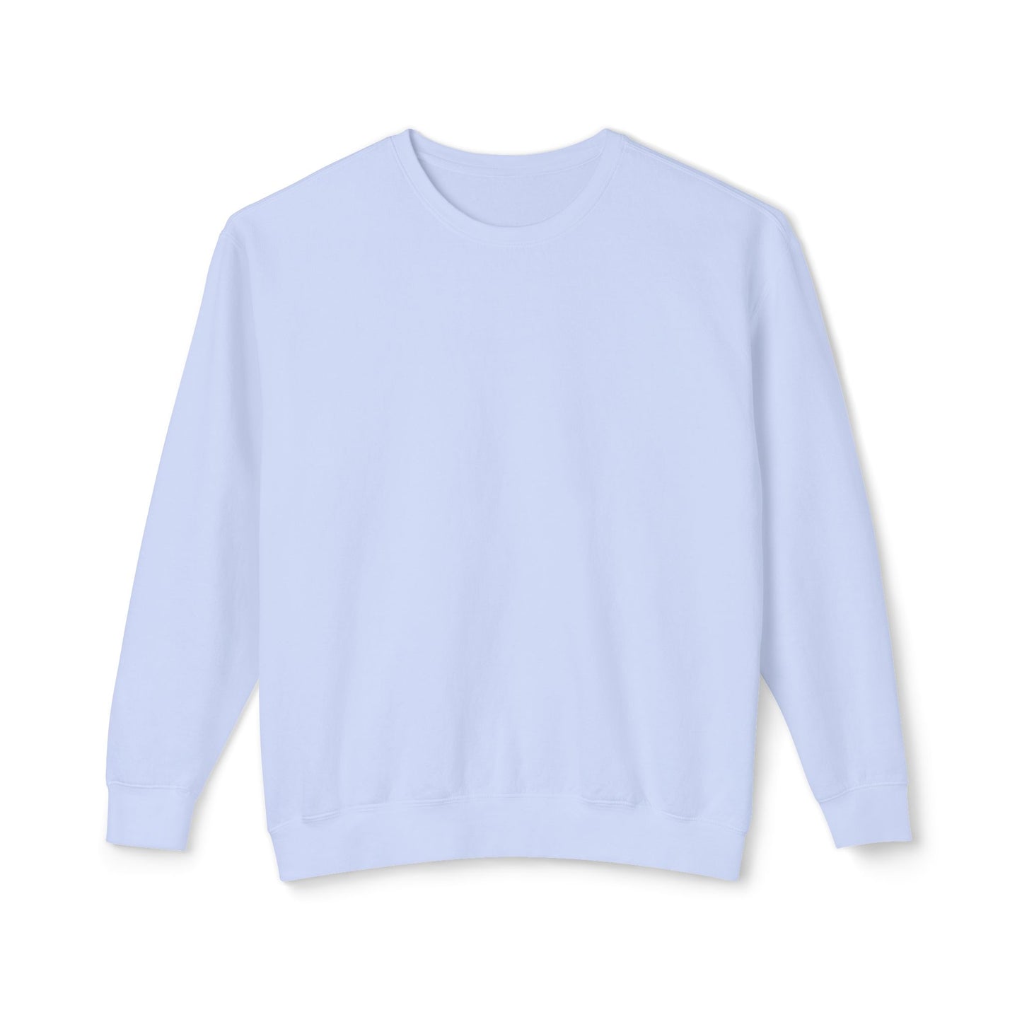 Crewneck Sweatshirt — Salt & Light Surf Co. Vintage Palm Beach Graphic, Back Print