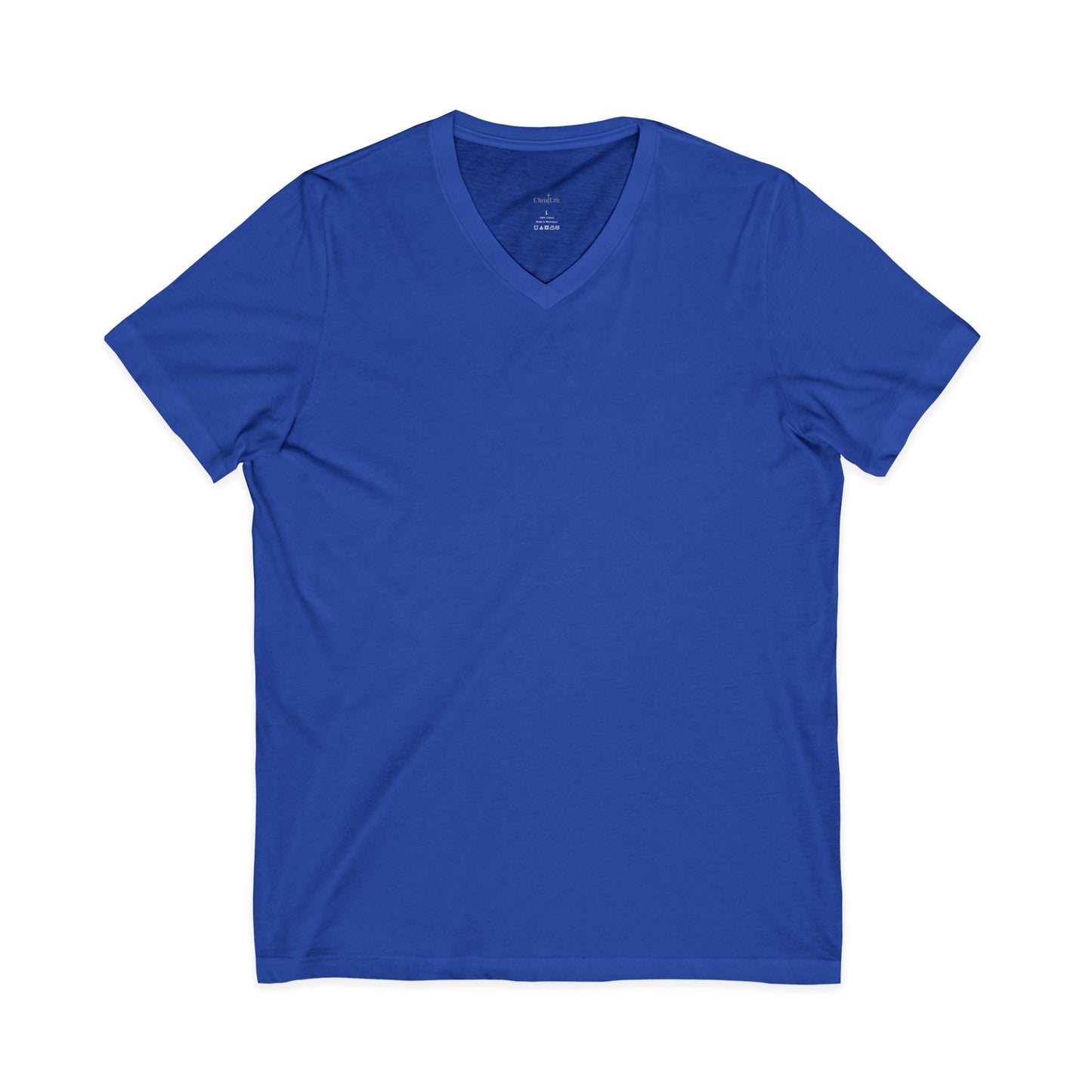 T-Shirt with Positive Beach Vibes, Unisex Tee, Summer Casual Wear, Holy Vibes Only Tee/back print
