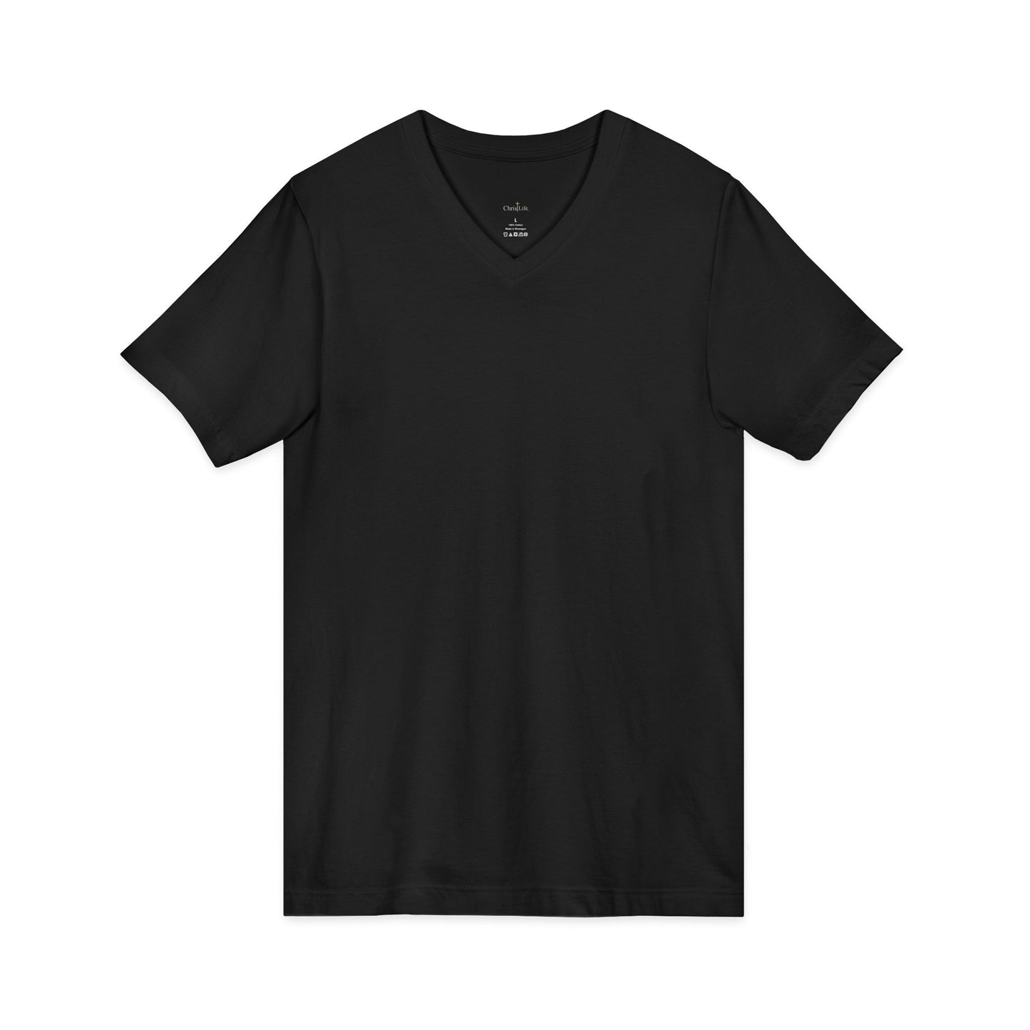 T-Shirt with Positive Beach Vibes, Unisex Tee, Summer Casual Wear, Holy Vibes Only Tee/back print
