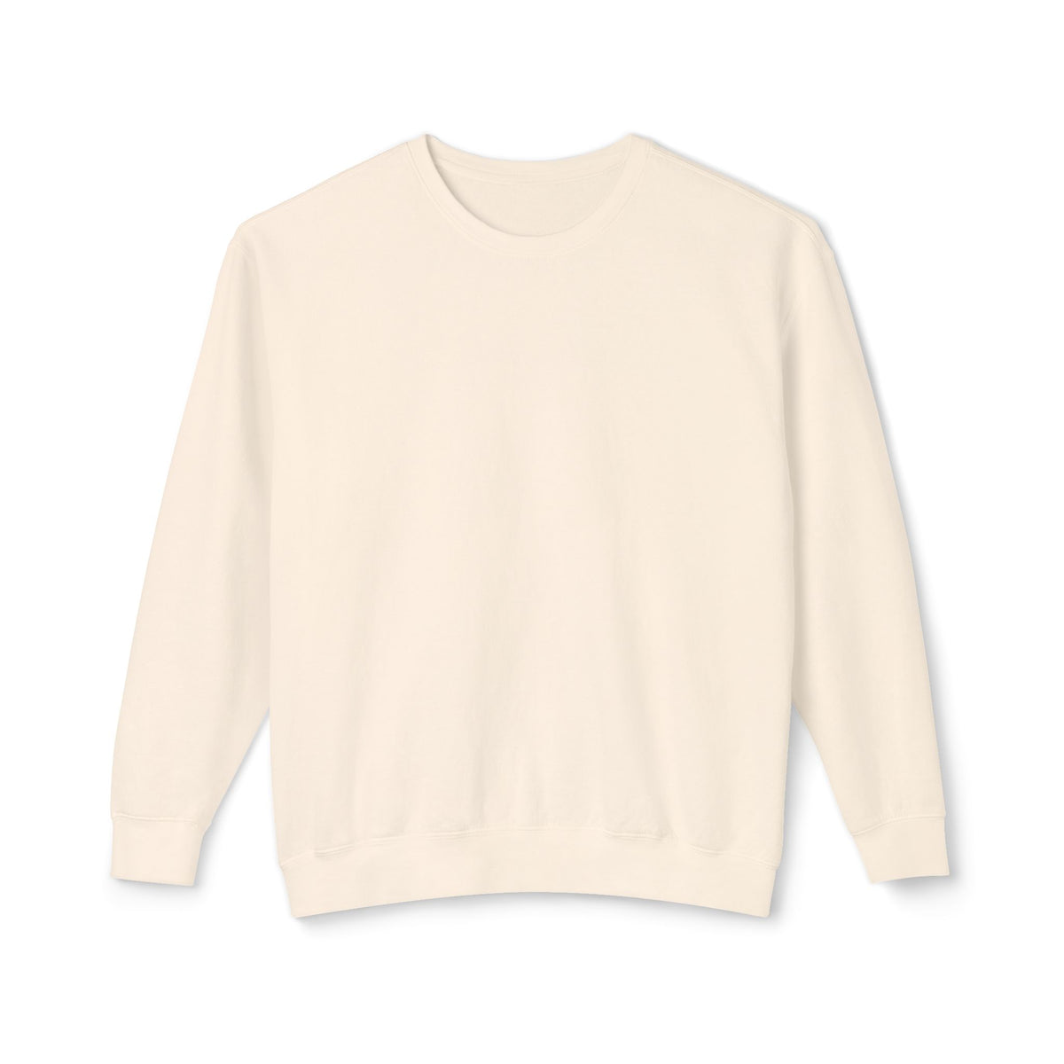 Crewneck Sweatshirt — Salt & Light Surf Co. Vintage Palm Beach Graphic, Back Print