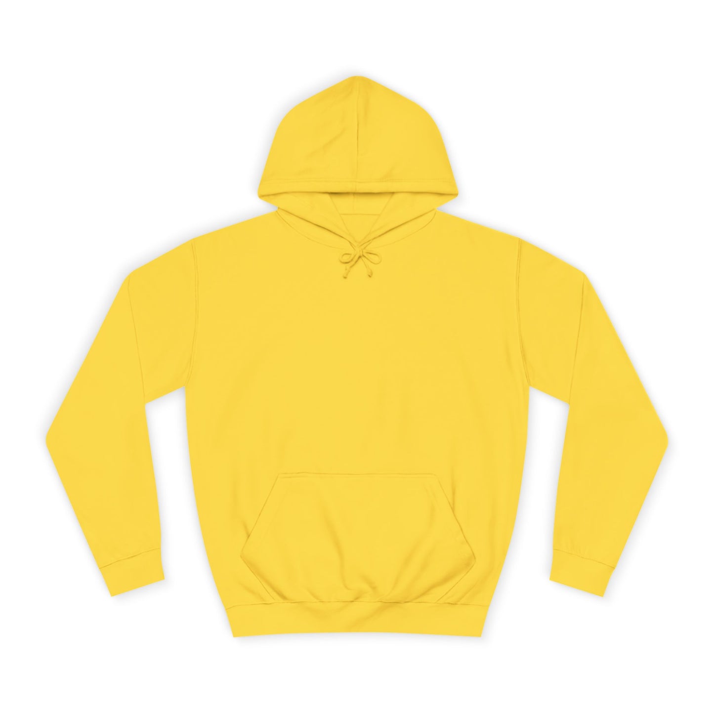 College Hoodie — "Salt and Light University" Vintage Wave Graphic