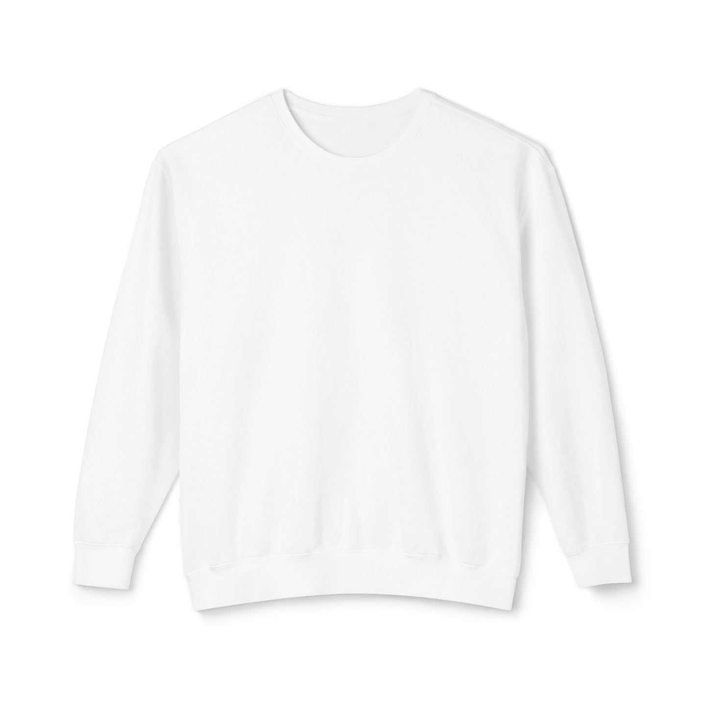 Crewneck Sweatshirt — Salt & Light Surf Co. Vintage Palm Beach Graphic, Back Print